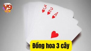 Khám Phá Tất Tần Tật Về Thế Bài Hiếm Gặp Đồng Hoa 3 Cây